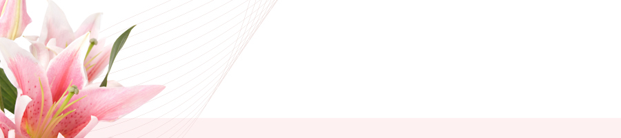 兵庫県の大学　学費　キャンパス　入試情報